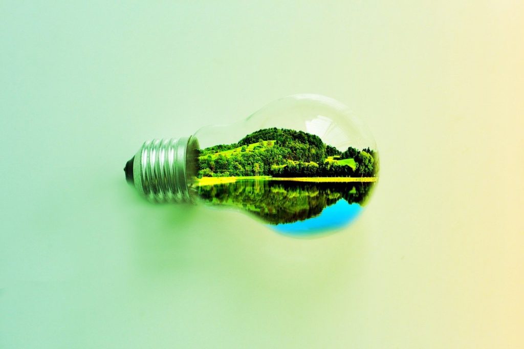 bulb 1959423 1280