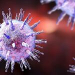herpes virus