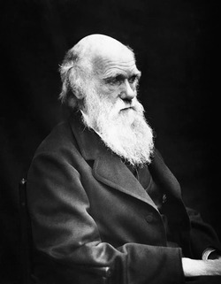 Charles Darwin, scientifique connu
