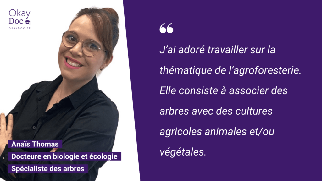 Écologie et biologie : interview d'Anaïs Thomas, spécialiste des arbres