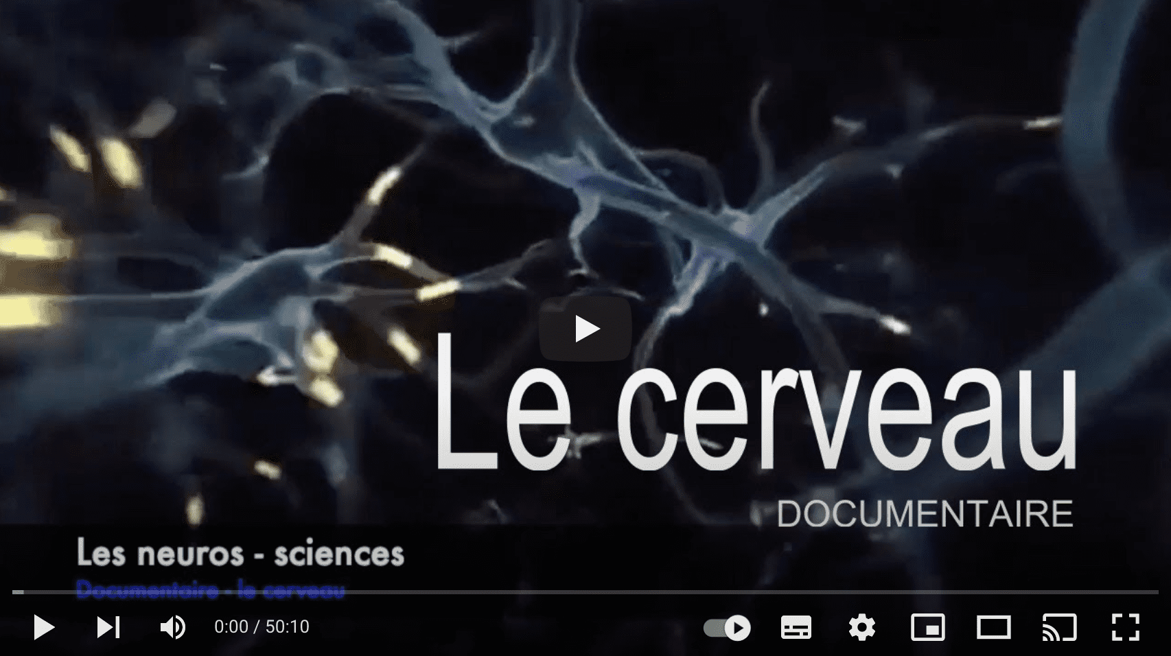 Documentaire Les neurosciences le cerveau